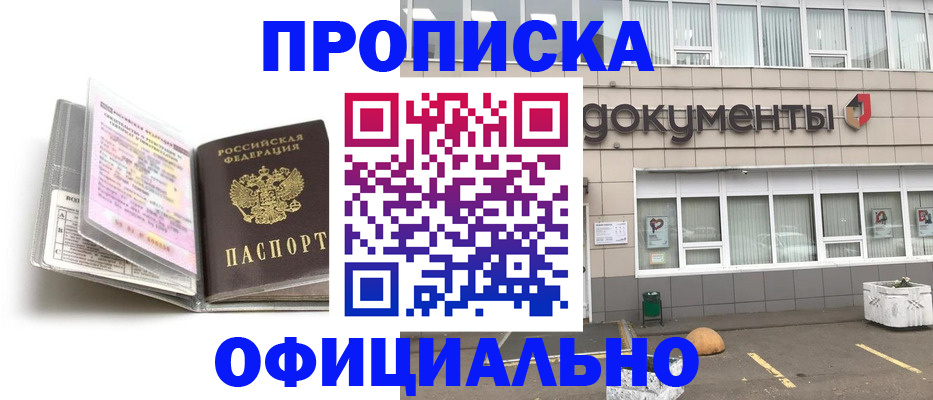 прописка поиск в Павловске